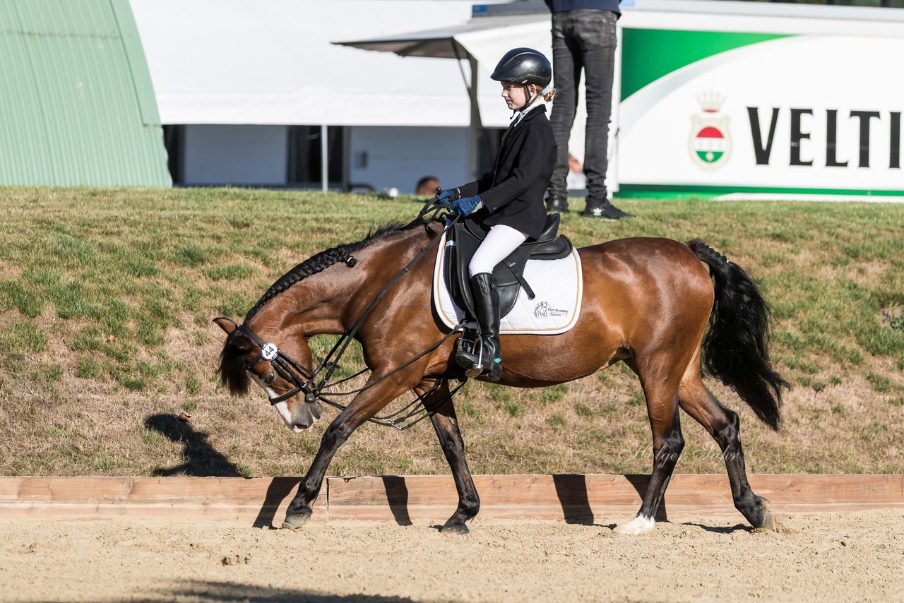 Bild 1 - Pony Akademie Turnier